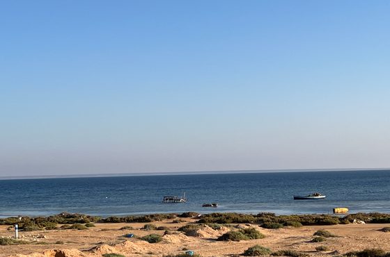 Forced Out of Darfur: A Journey Not a Destination
