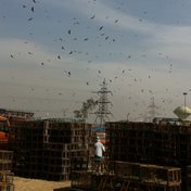 On ‘Indifference’: A Conversation with Naisargi Davé