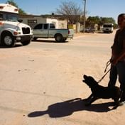 Gaining Voice through Injury: An Interview with Iván Sandoval-Cervantes