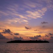 Assimilation, Dispossession, Erasure, or Refusal