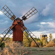 The New Don Quixote