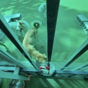 Grinding the Soul: An Interview with EuyRyung Jun