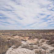 These Compulsive Assertions of Contingency: An Interview with Cameron Hu