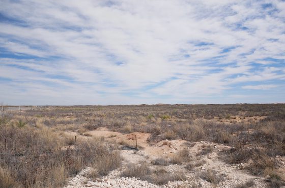 These Compulsive Assertions of Contingency: An Interview with Cameron Hu