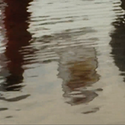 What Is an Interruption? An Interview with Lisa Stevenson