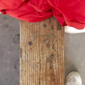 Porcine Worlds: An Interview with Alex Blanchette