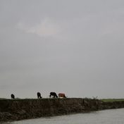 Ethnographic Time and the Border: An Interview with Malini Sur