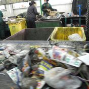 Sustaining Containability: A Conversation with Elana Resnick