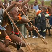 Bateson Book Forum: Dust of the Zulu