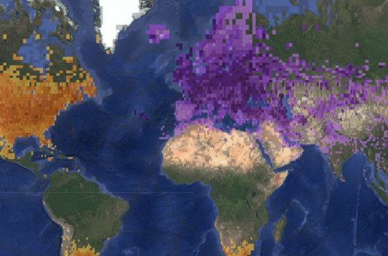 (Digital) Naturalists in the Anthropology Classroom