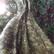 Teaching the Possibility of Spirits: An Invitation