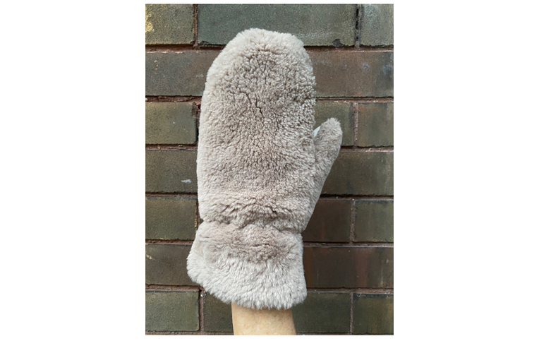 Picture of the mitten.