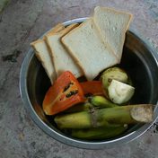 A Joke of a Job: Naturalizing the Work of Semiwild Orangutans