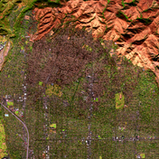 Editors’ Introduction: Dissonant Ecotones, Fractured Strata