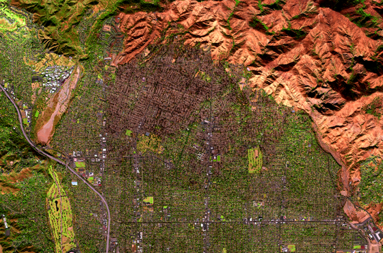 Dissonant Ecotones, Fractured Strata: Histories of Environmental Anthropology