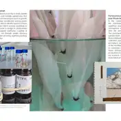 Plant Responsability and the Politics of Vegetal Care: An Introduction