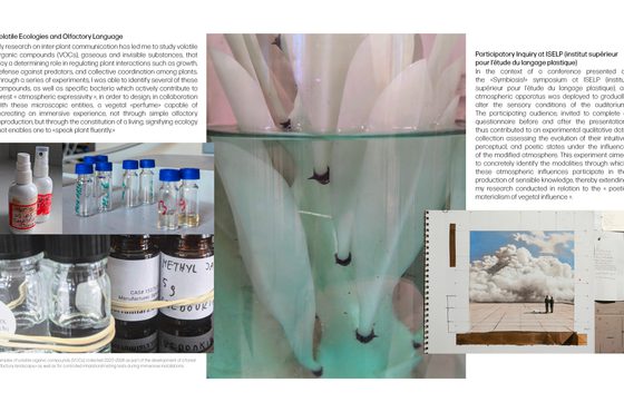 Plant Responsability and the Politics of Vegetal Care