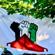 Settler Colonialism: Unsettling Exceptionalisms with and through Israel-Palestine