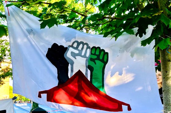 Settler Colonialism: Unsettling Exceptionalisms with and through Israel-Palestine