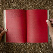 Sin Cesar: The Healing Potency of a Book