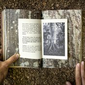 El libro-objeto como testigo de la desaparición: narración, materialidad e imagen sobre las violencias paraestatales en Colombia