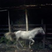 Ethnographica Obscura: An Interview with Alexander L. Fattal