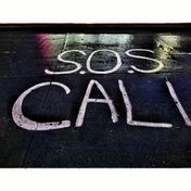 When Flowers Turned to Blood / Cuando las flores se volvieron sangre