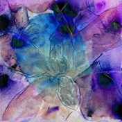 Debris n-1: Visualizing a Bullerman Erotics