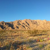 Erasure as Repair: A Speculative Poetics of the Archive