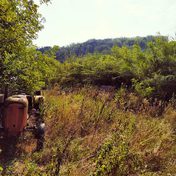 Rural Development and Alternative Agriculture in Italy: Cultivating the Future by Governing Expectations of Change